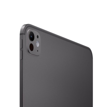 Планшет Apple iPad Pro 13" 256Gb (2024) Wi-Fi + Cellular «черный космос»