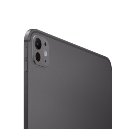 Планшет Apple iPad Pro 11" M5 256Gb (2025) Wi-Fi + Cellular «черный космос»
